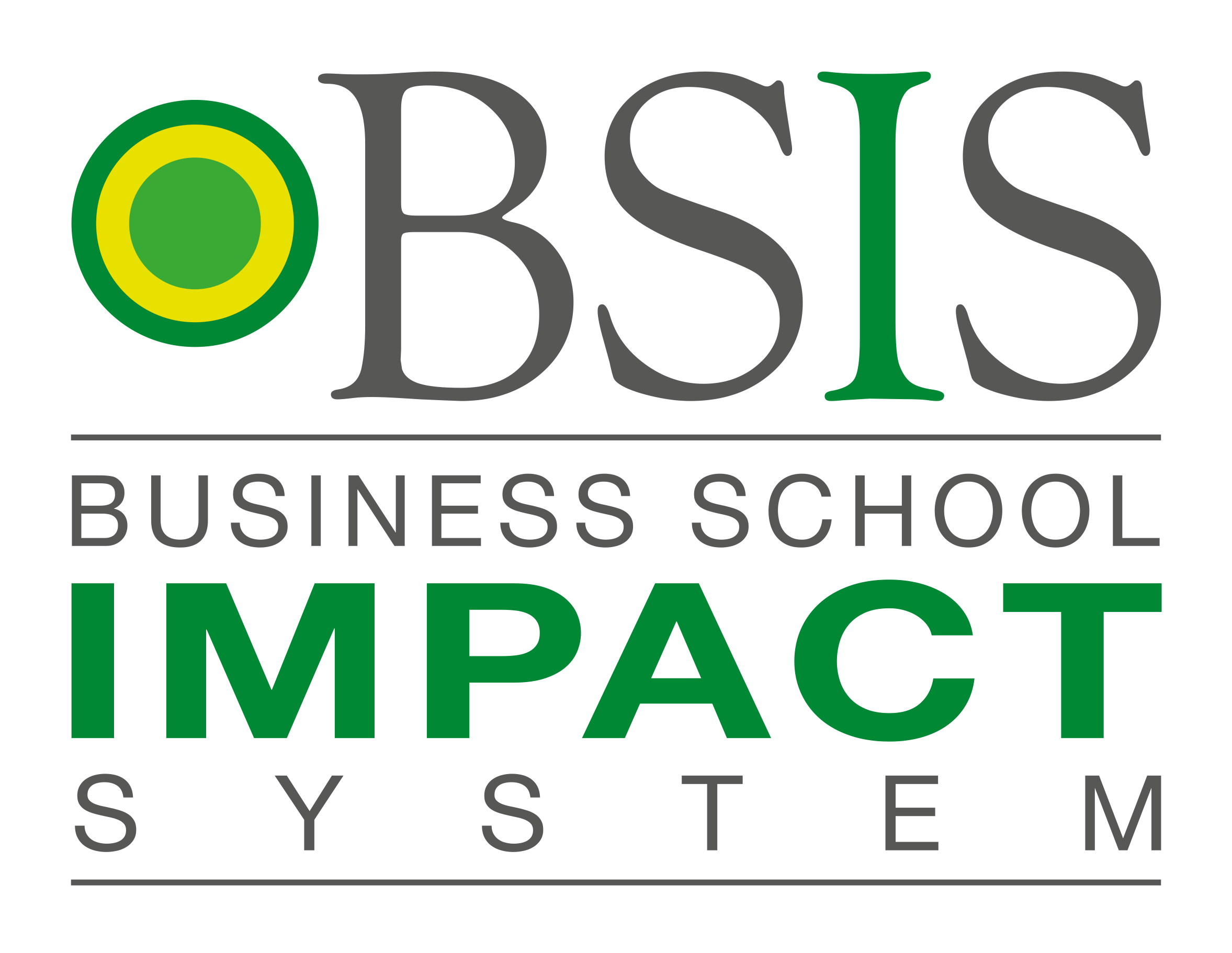 Logo_BSISystem-HR