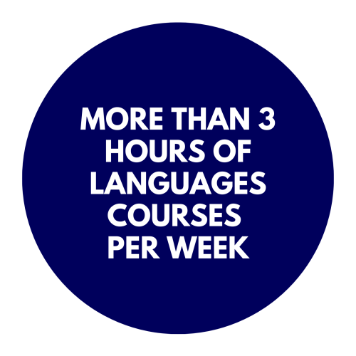 bulle languages
