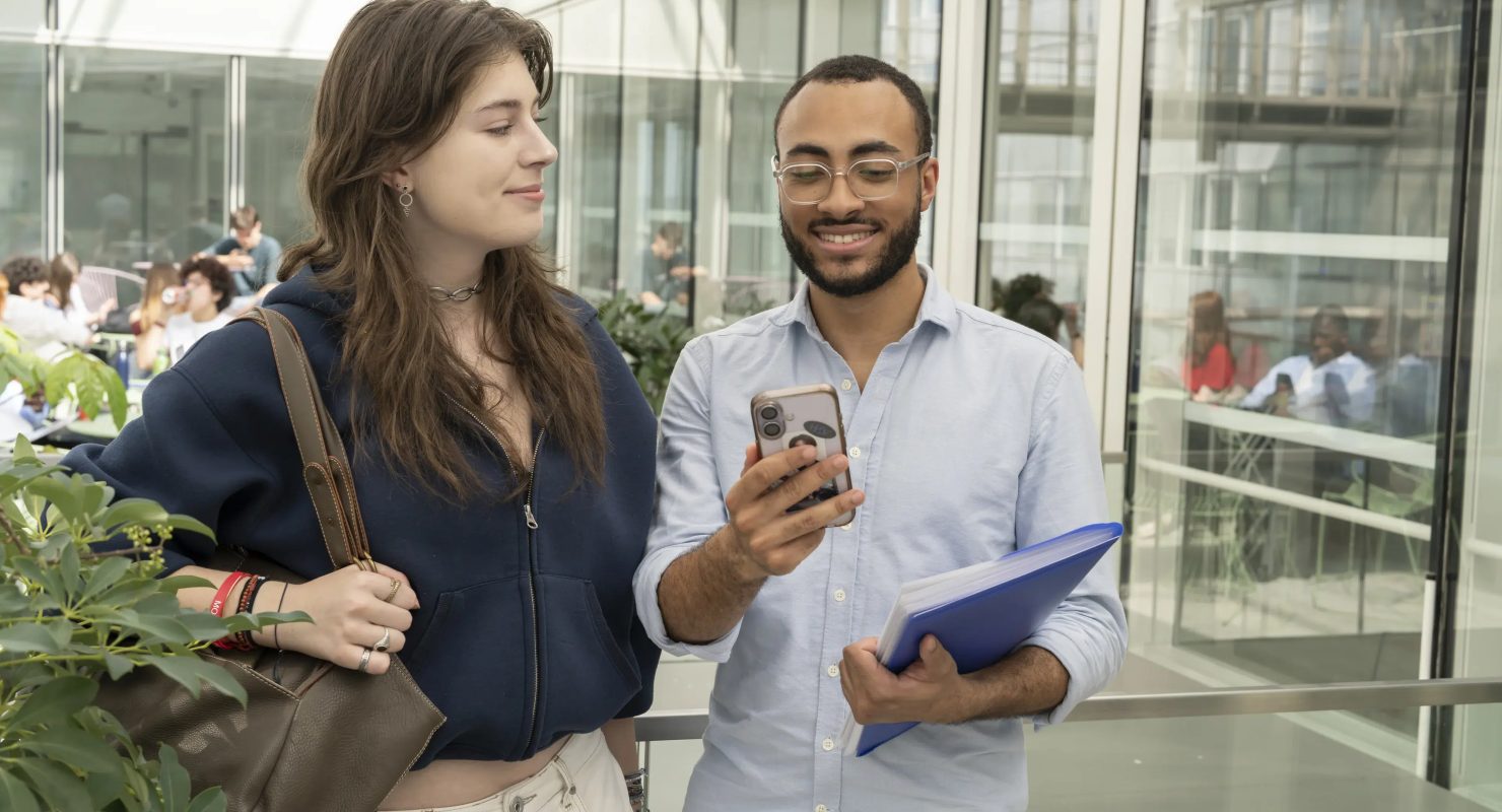 Bachelor Management des organisations