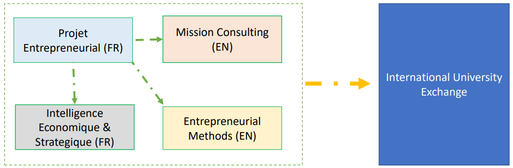 international entrepreneurship & consulting - programme 1ère année